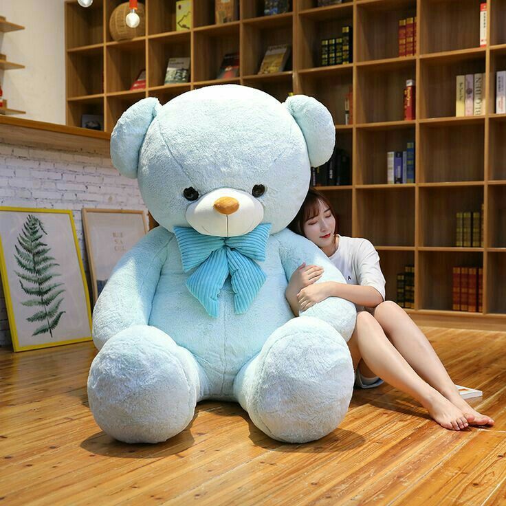 4 Feet Premium Teddy Bear