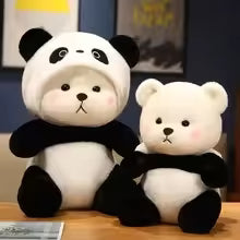 Adorable Teddy Bear With Cap