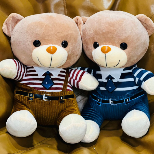 Teddy Bear wear Jumpsuit