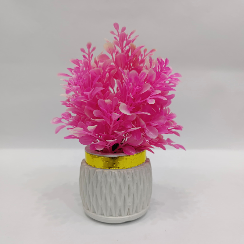 Miniature Planter For Home And Office Decor