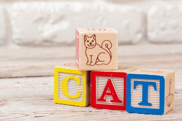 27pcs Wooden Toy ABC Blocks