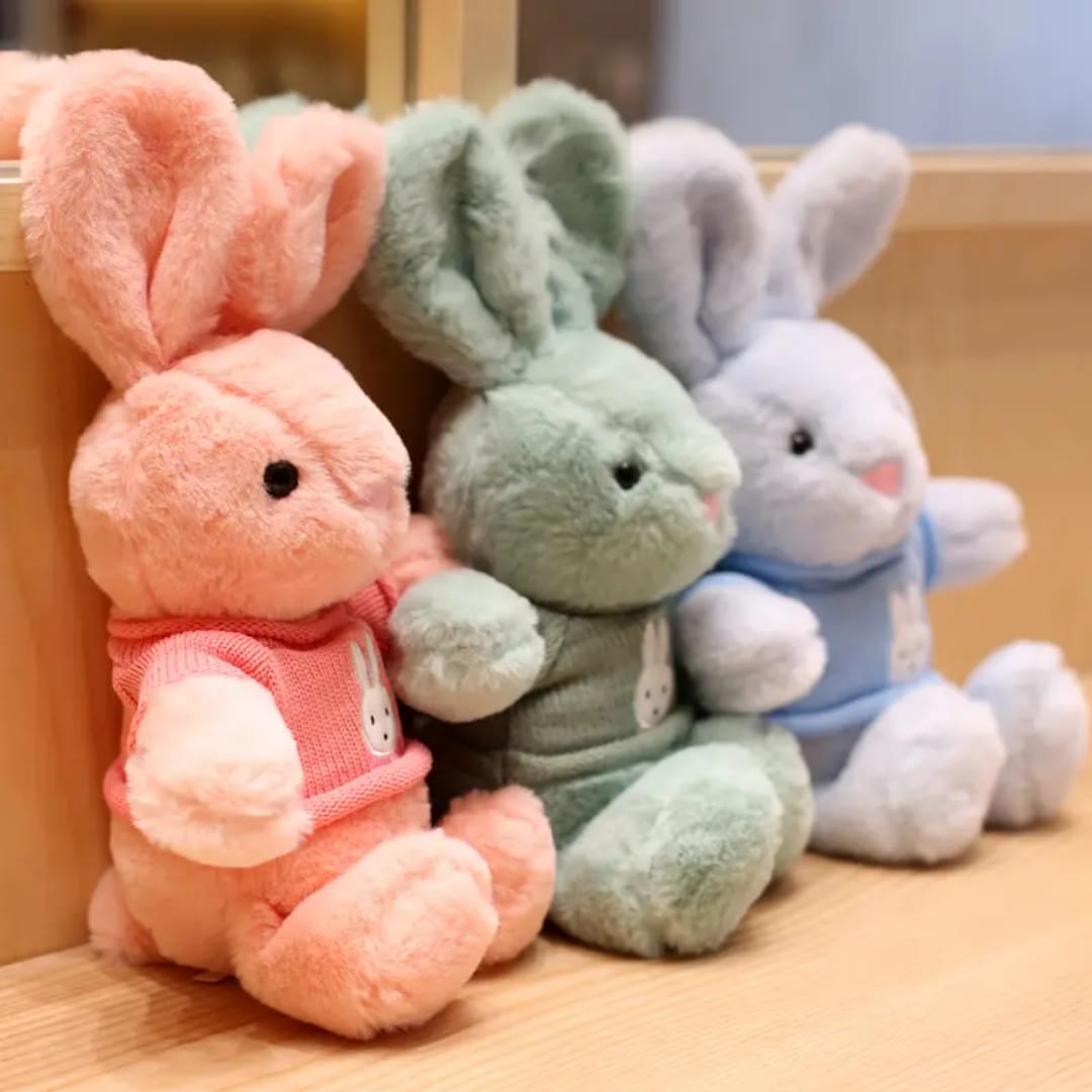 Rabbit Wearing Jacket