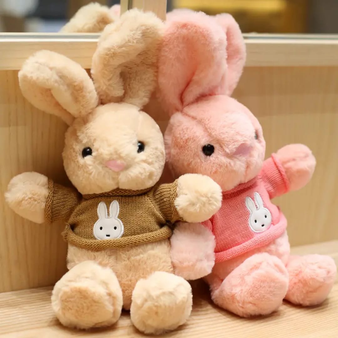 Rabbit Wearing Jacket