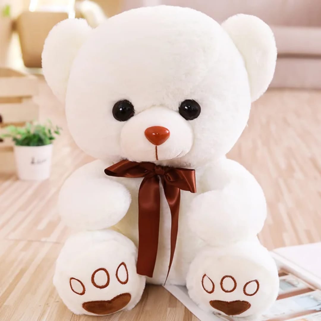 Cute Teddy Bear -Birthday-&-Valentines Day Gift