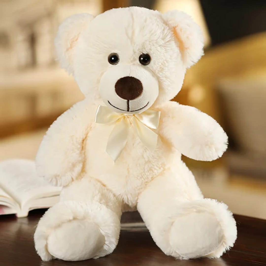 Teddy Bear Soft Toy