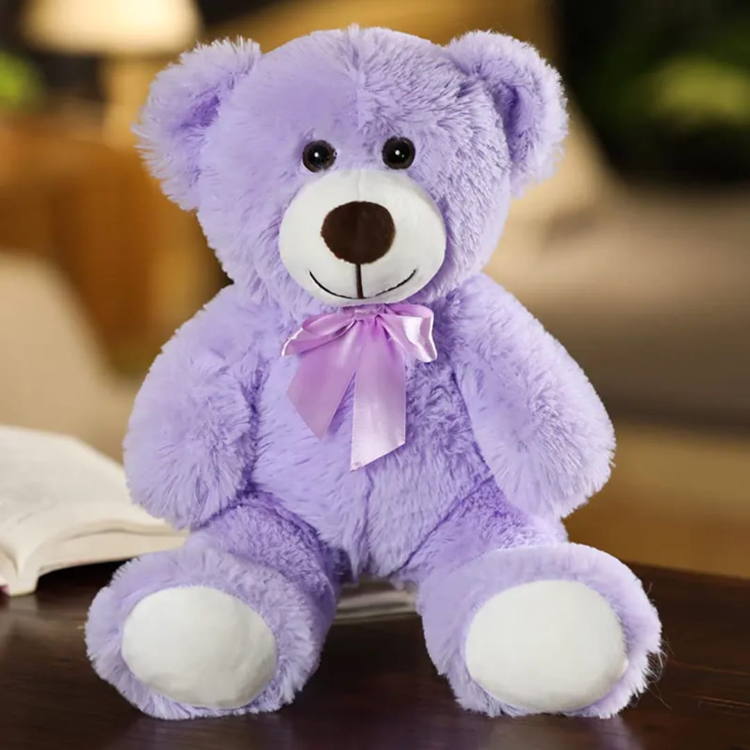 Teddy Bear Soft Toy