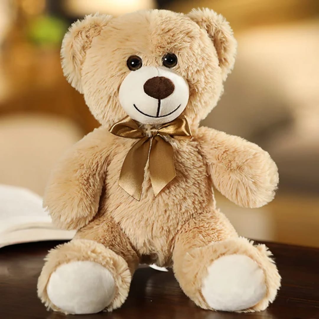 Teddy Bear Soft Toy