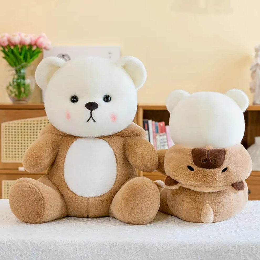 Soft Stuffed Teddy Bear With non removable cap 25 Cm