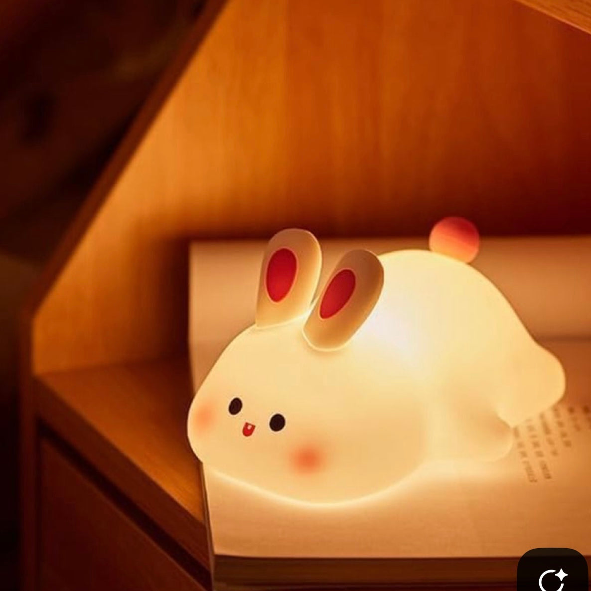 CUTE RABIT PLUSHY NIGHT LAMP USB RECHARGEABLE TOUCH CONTROL+ Type C cable