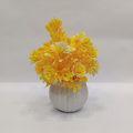 Miniature Planter For Home And Office Decor