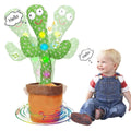 Dancing Cactus