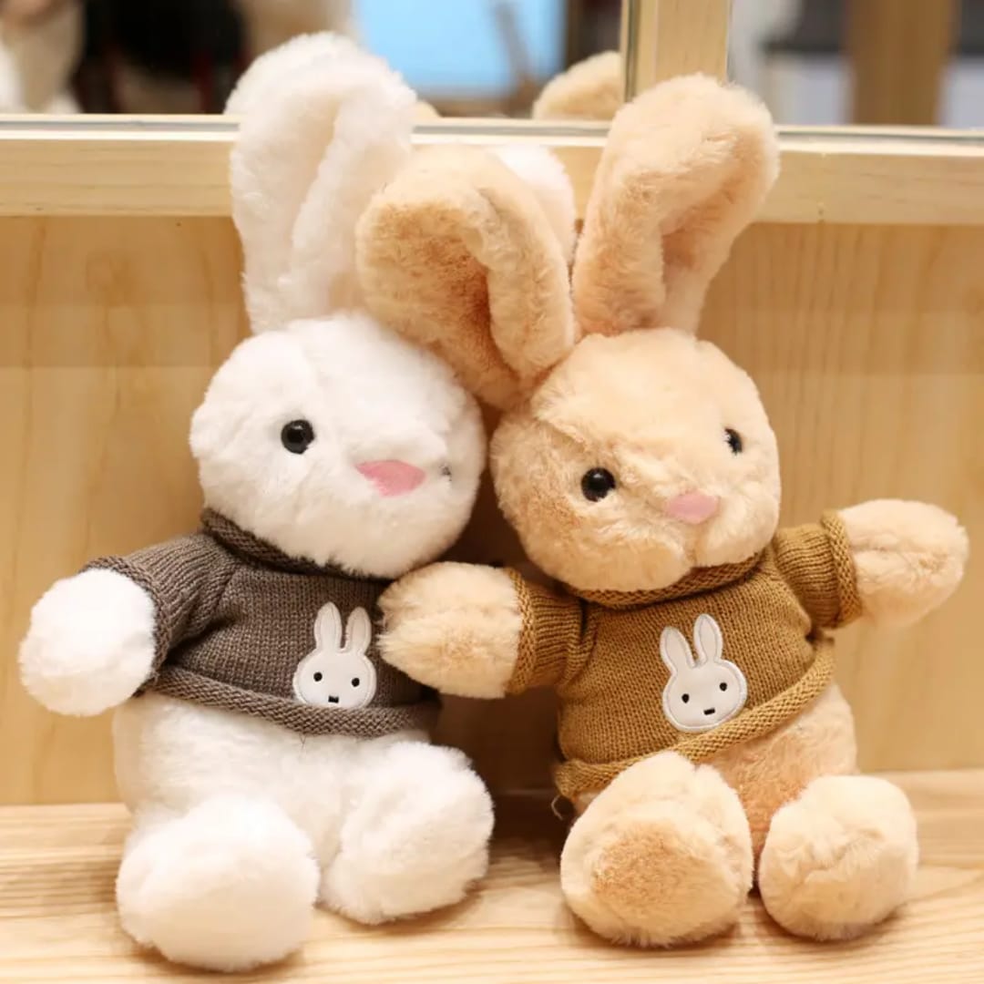 Rabbit Wearing Jacket