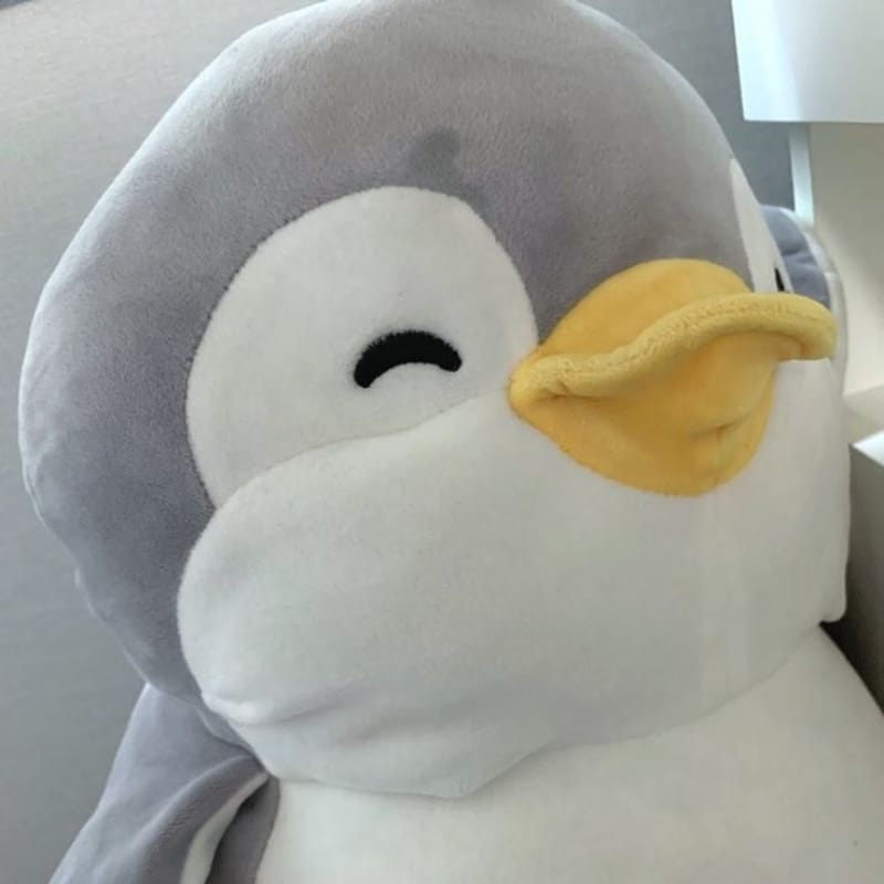 Adorable Penguin Soft Toy