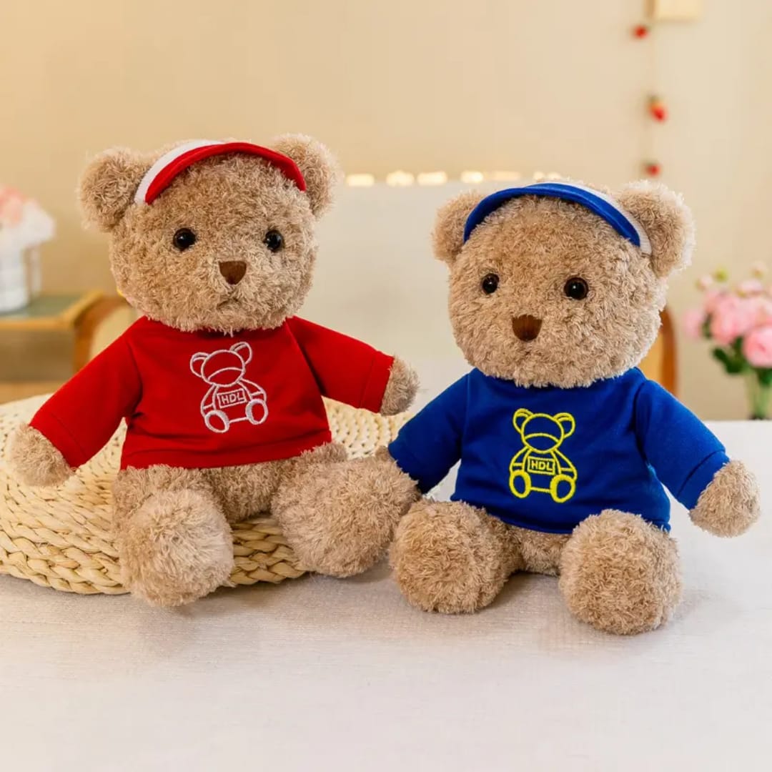 teddy Bear hoodie wearing shirt