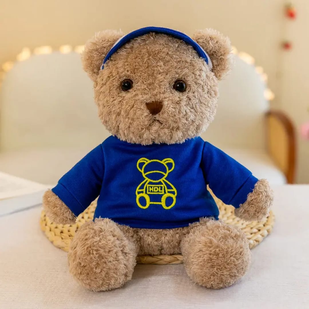 teddy Bear hoodie wearing shirt