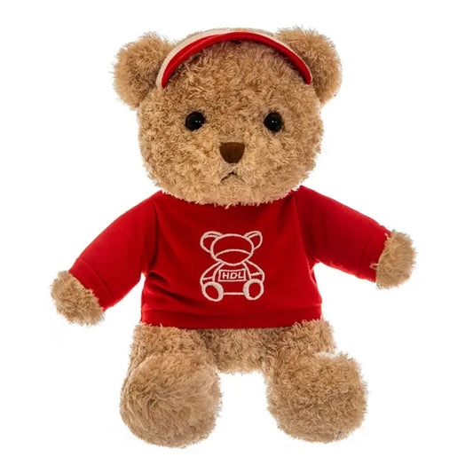 teddy Bear hoodie wearing shirt