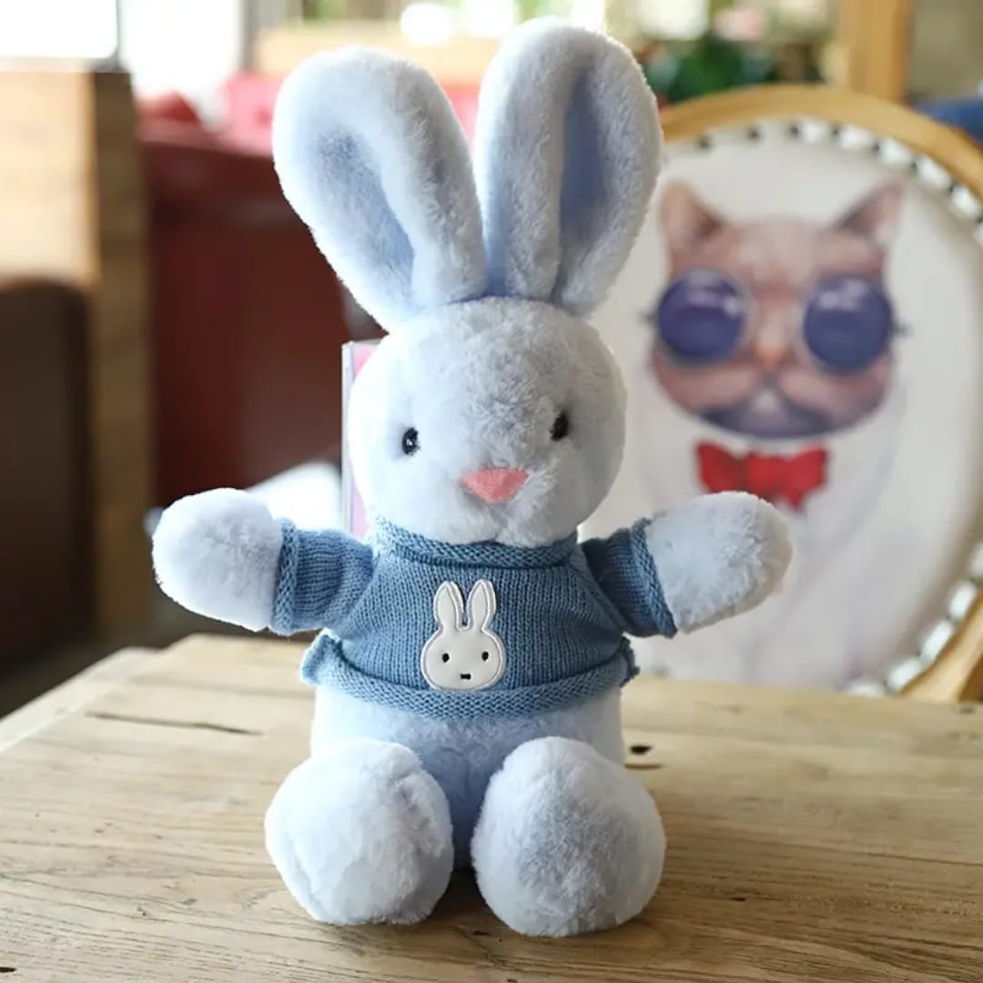 Rabbit Wearing Jacket