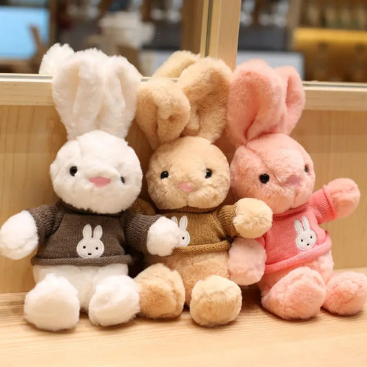 Rabbit Wearing Jacket