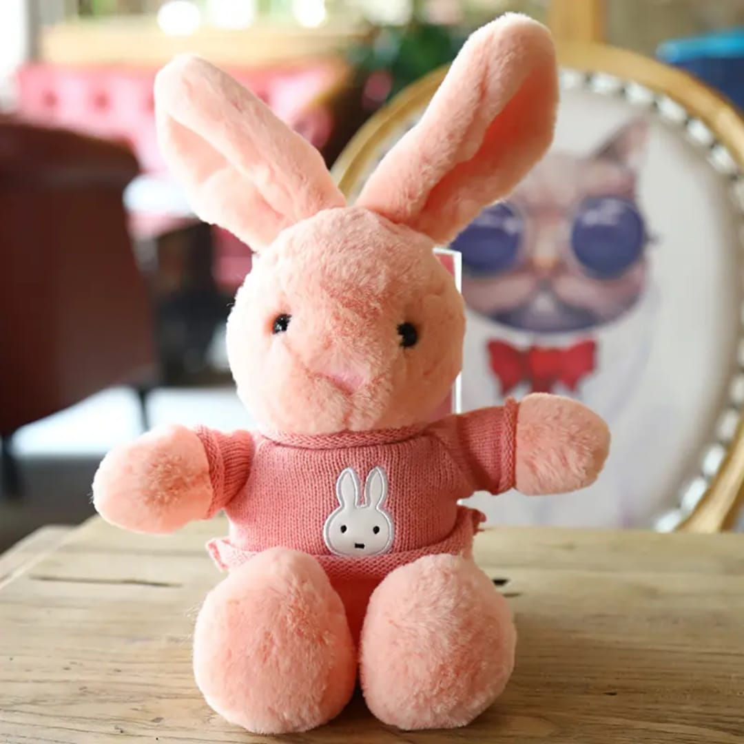 Rabbit Wearing Jacket