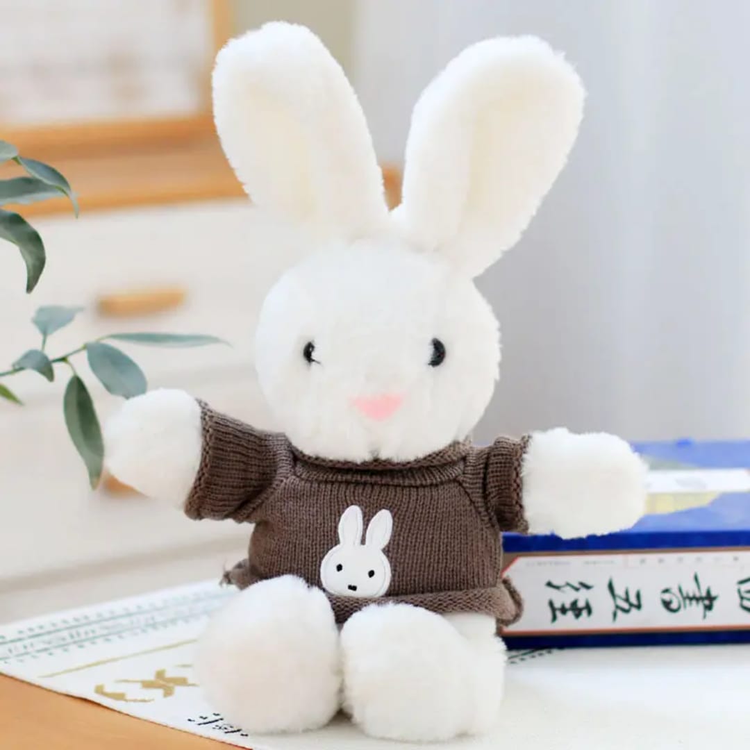 Rabbit Wearing Jacket