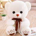 Cute Teddy Bear -Birthday-&-Valentines Day Gift