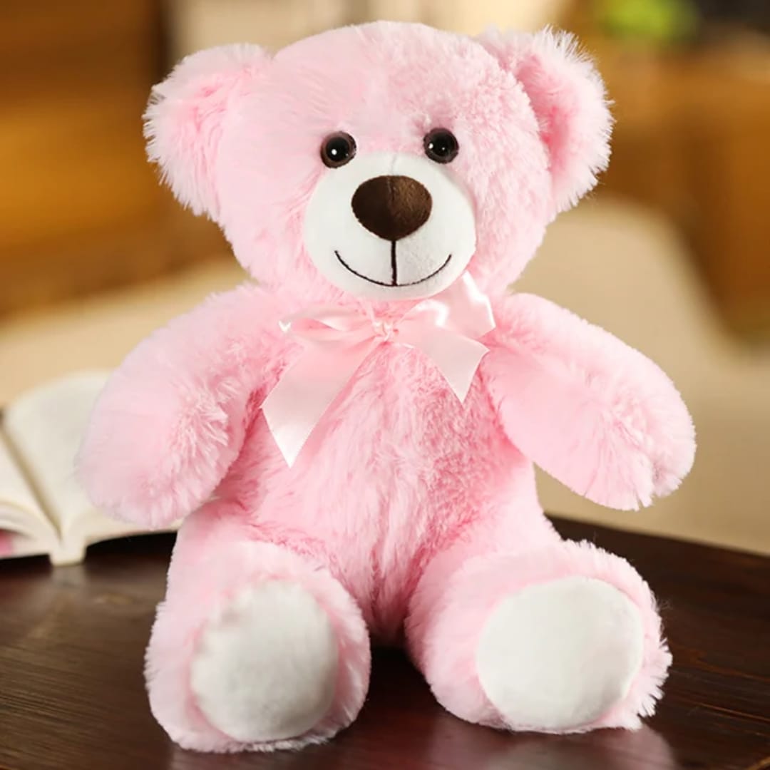 Teddy Bear Soft Toy
