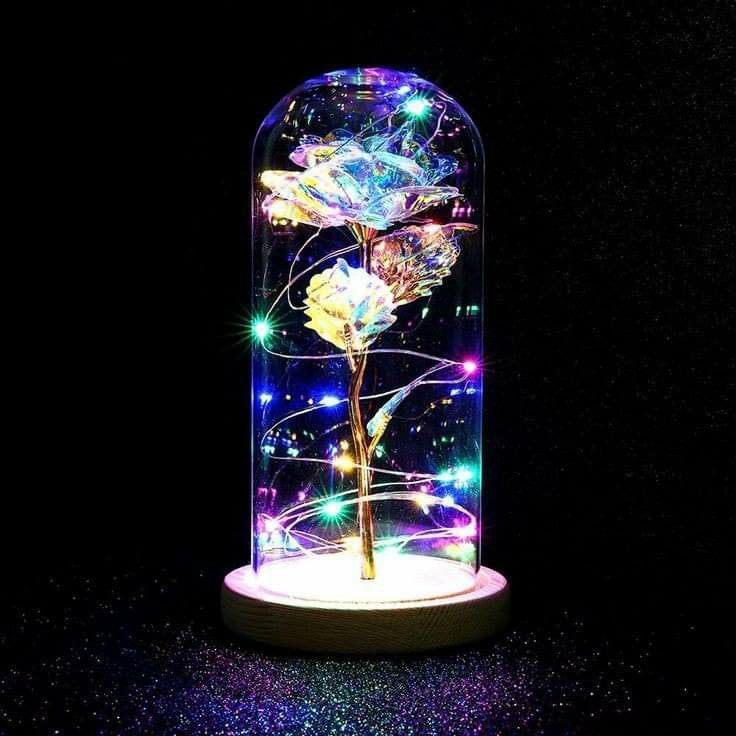 Flower Lighting  Gift Box